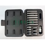 ANTGALIŲ K-TAS TORX 15vnt. EL12102402 ANTGALIŲ K-TAS TORX 15vnt. EL12102402