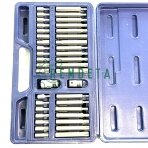 ANTGALIŲ RINK. IMB/TORX/SPLIN 40vnt