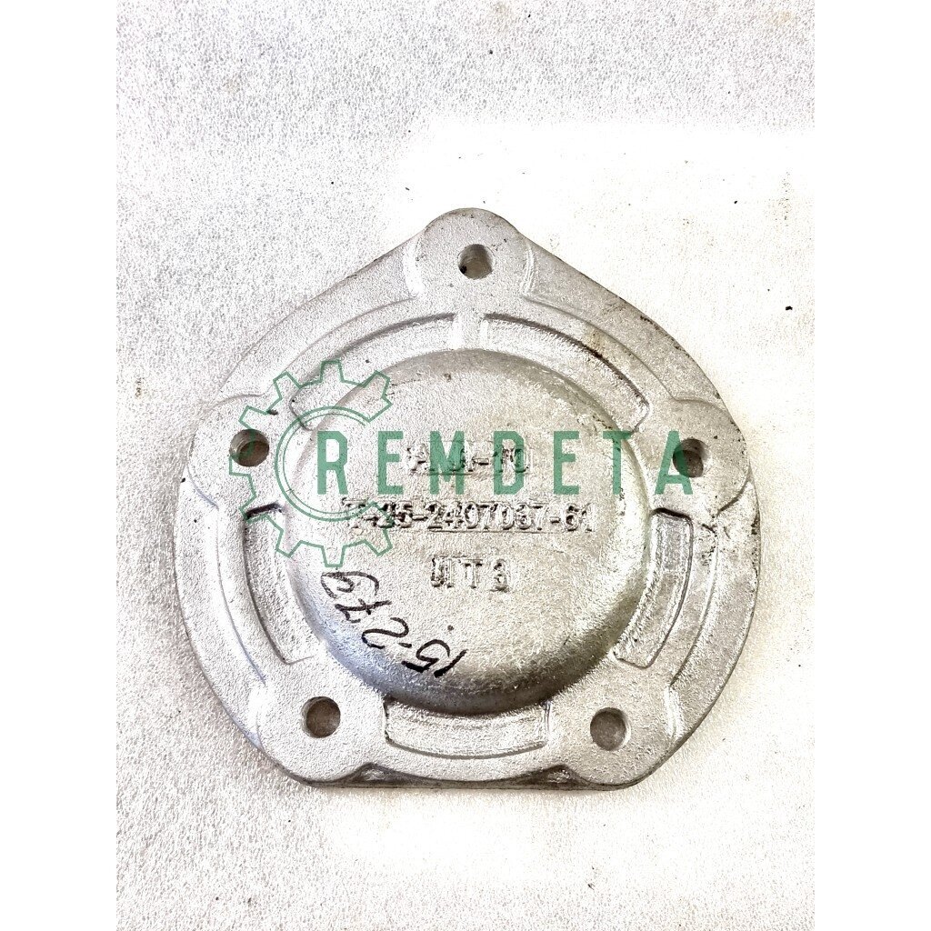DANGTELIS GAL. REDUKT. T25-2407037-B1