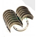 INDĖKLAI PAGRINDINIAI SMD-31 P1 A23.01-98-31SBA