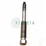 SRAIGTAS 50-4202068 ORG